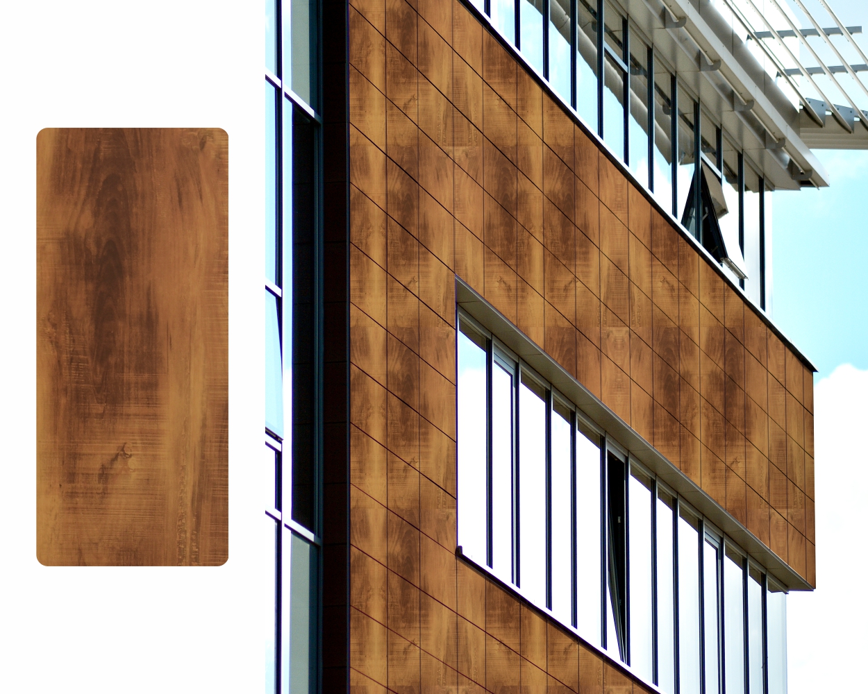 California Teak