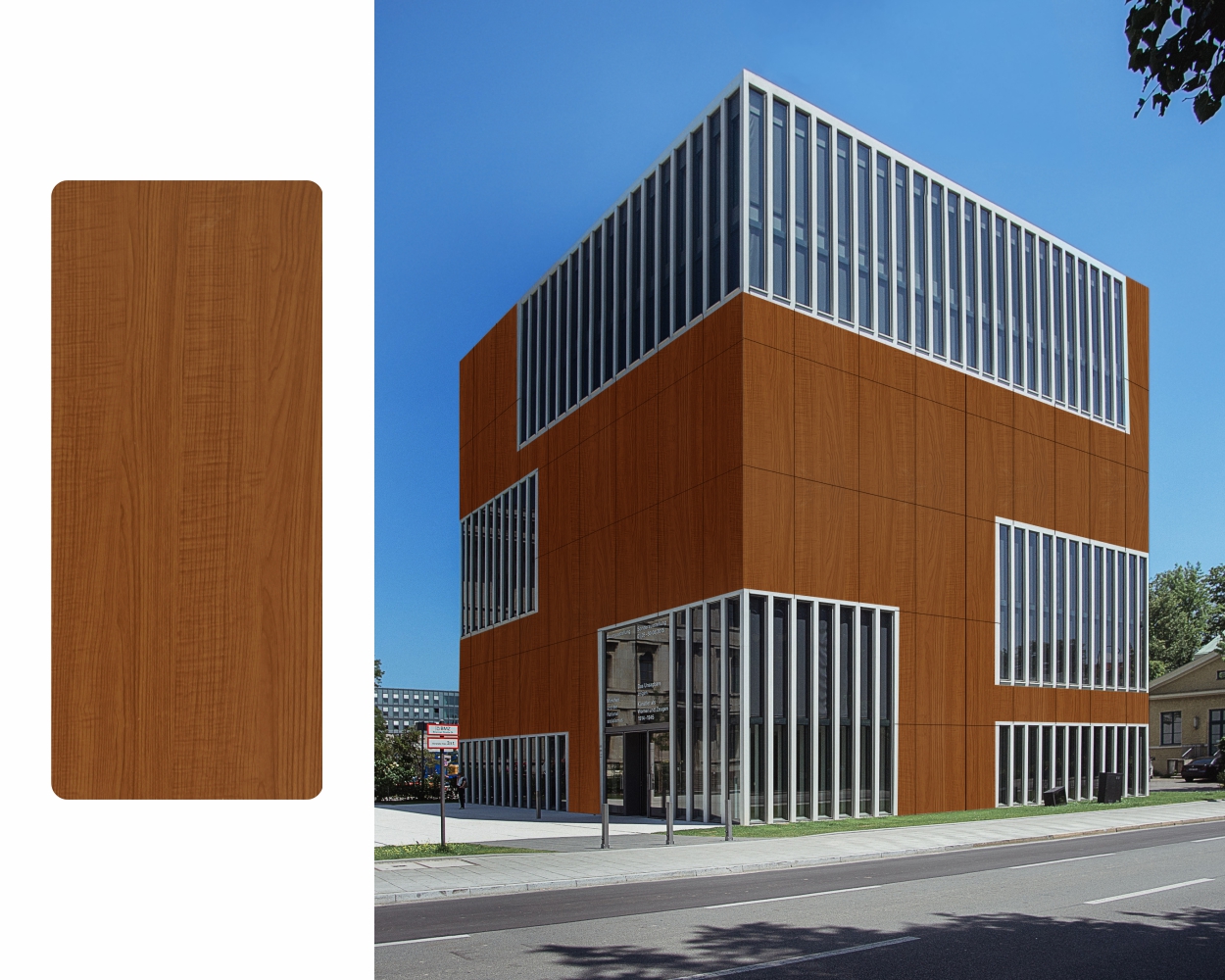 Canadian Walnut